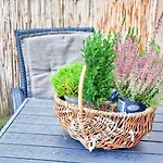 Appartamento In Im Stadtzentrum