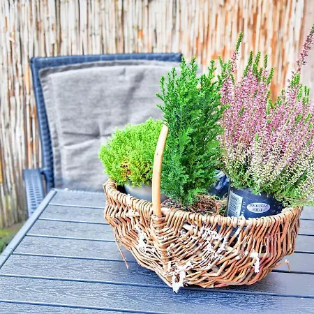 Appartement In Im Stadtzentrum