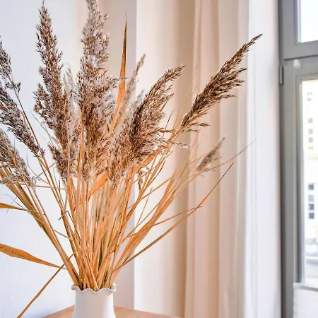 Apartment Frisch Renovierte Wohnung Im Zentrum Von Wismar Wismar