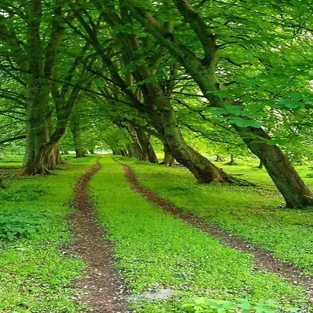 In Im Stadtzentrum Wißmar