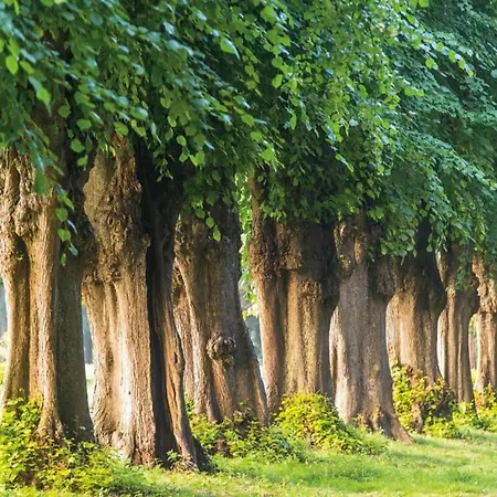 Daire In Im Stadtzentrum Wißmar